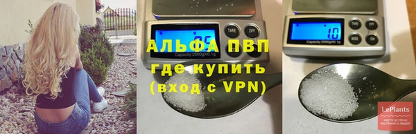 амф Козельск