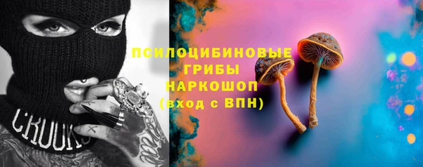 a pvp Кодинск