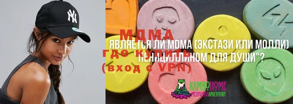 амф Козельск