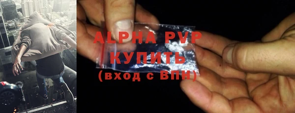 амф Козельск