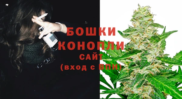 амф Козельск