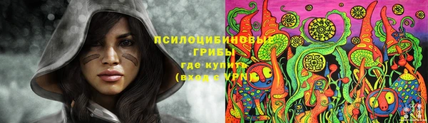 a pvp Кодинск